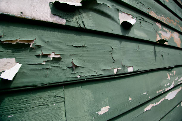 Best Custom Trim and Detailing for Siding  in Crewe, VA