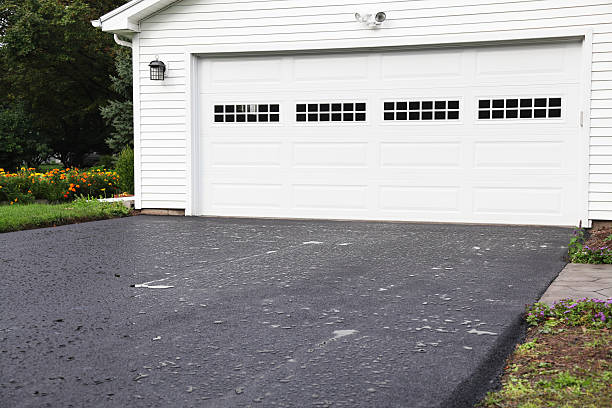 Best Custom Siding Design  in Crewe, VA
