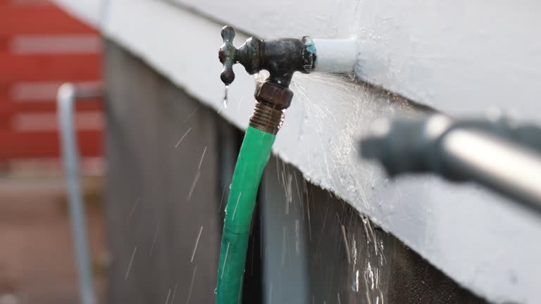 Best Weatherproofing and Sealing  in Crewe, VA